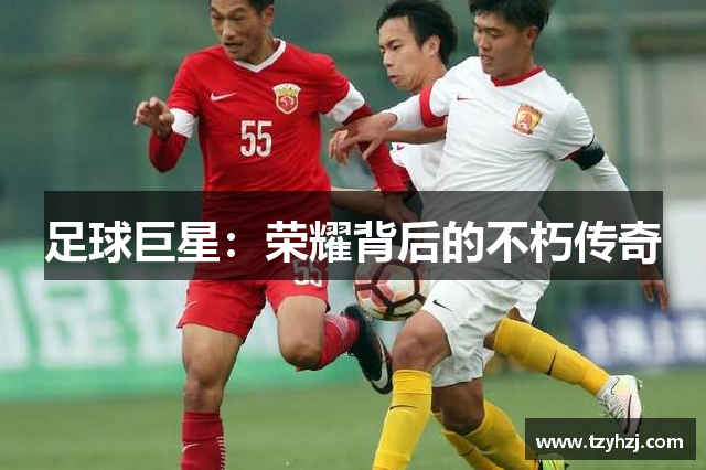 足球巨星:荣耀背后的不朽传奇 足球巨星:荣耀背后的不朽传奇