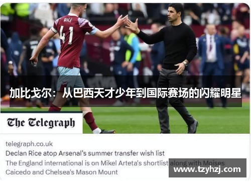 加比戈尔:从巴西天才少年到国际赛场的闪耀明星 加比戈尔:从巴西天才少年到国际赛场的闪耀明星