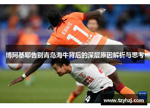 博阿基耶告别青岛海牛背后的深层原因解析与思考