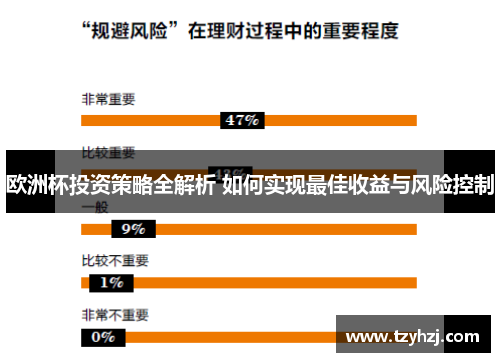 欧洲杯投资策略全解析 如何实现最佳收益与风险控制 欧洲杯投资策略全解析 如何实现最佳收益与风险控制