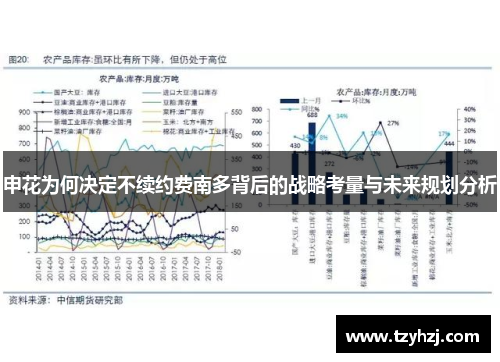 申花为何决定不续约费南多背后的战略考量与未来规划分析