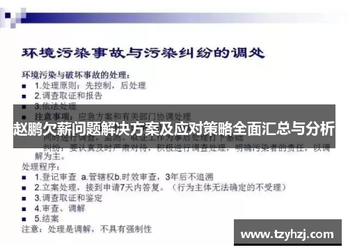 赵鹏欠薪问题解决方案及应对策略全面汇总与分析